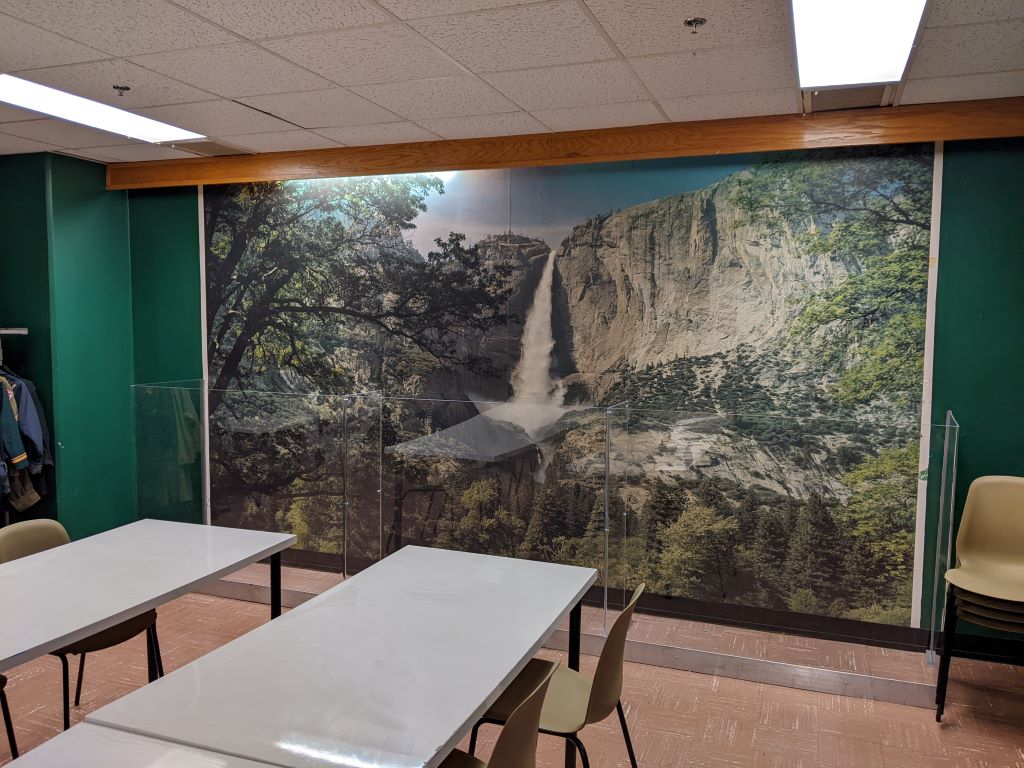 Indoor room with a mural of a waterfall and trees on the wall.